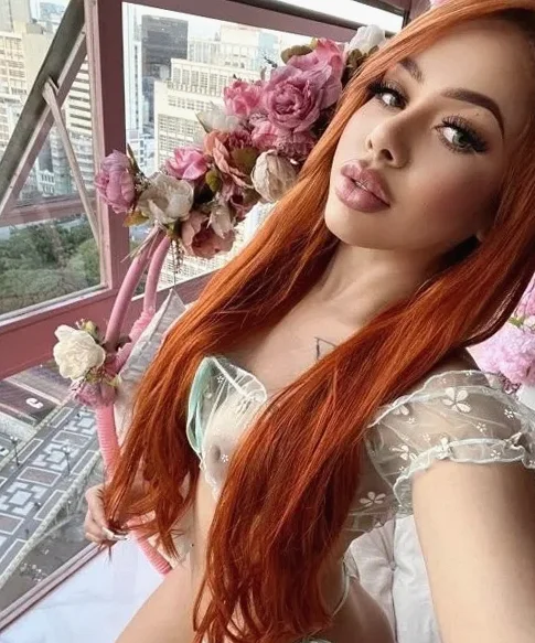 ALICIA